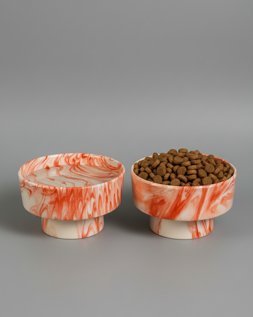 Yükseltilmiş Mama Kabı