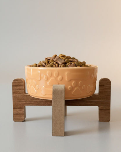 Yükseltilmiş Mama Kabı