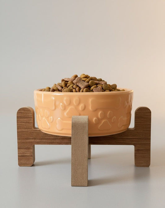 Yükseltilmiş Mama Kabı